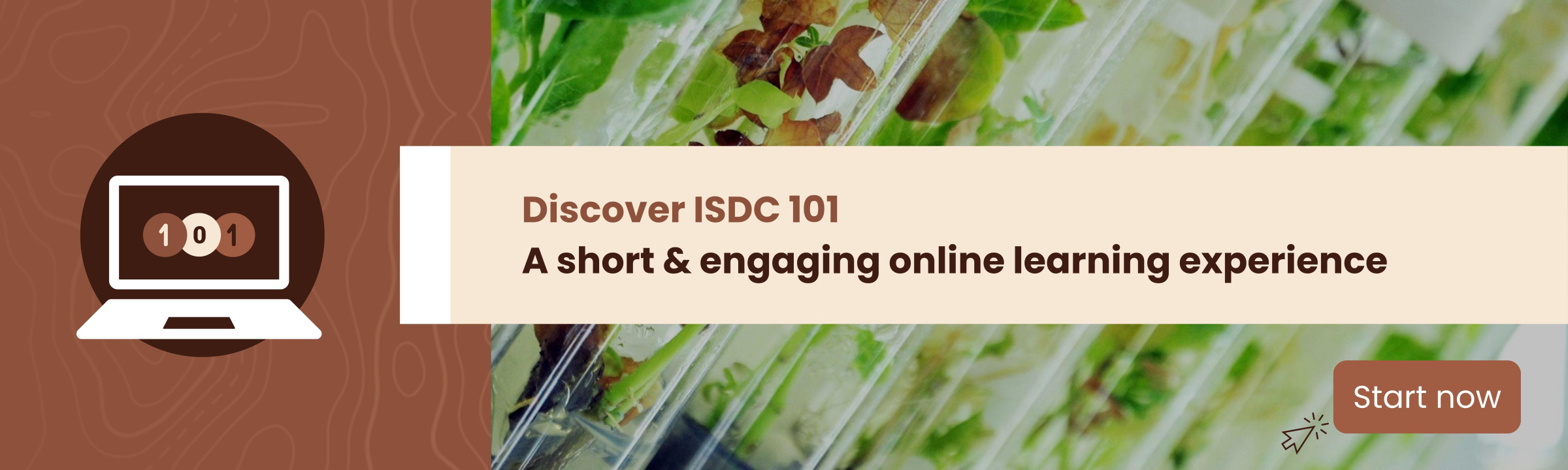 Guiding the Future of CGIAR Science: ISDC’s Year in Focus | IAES ...