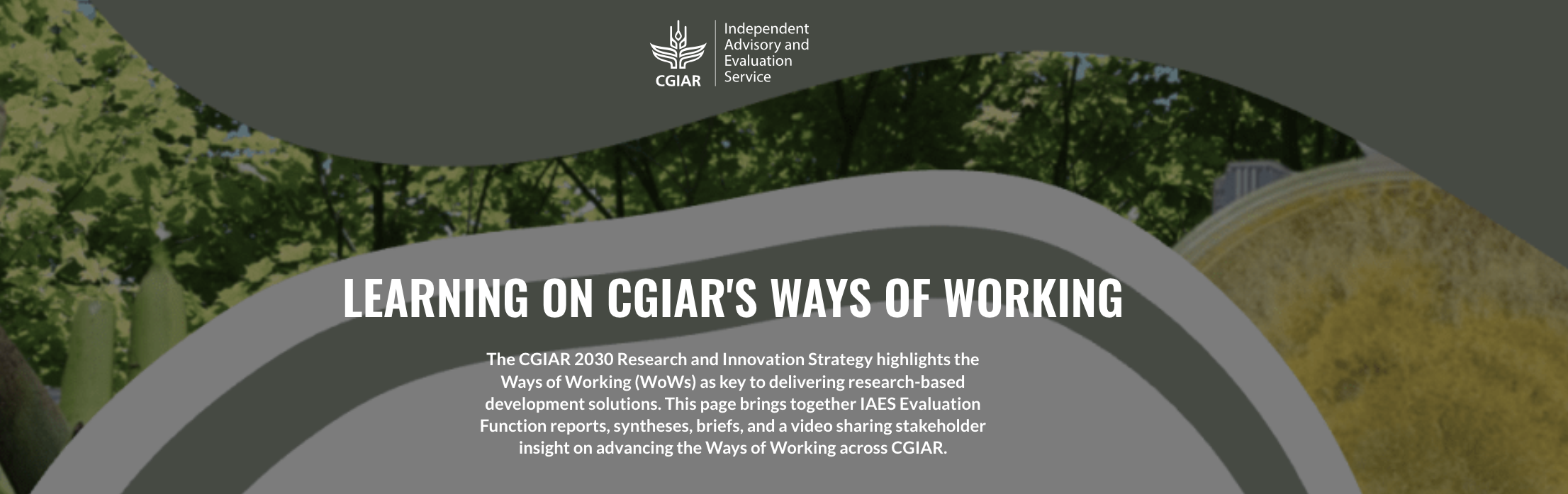 Visit Learninng on CGIAR's Ways of Working Webpage
