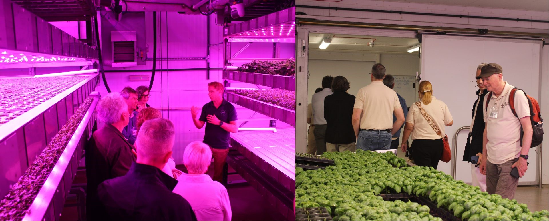 ISDC Visiting the IGS