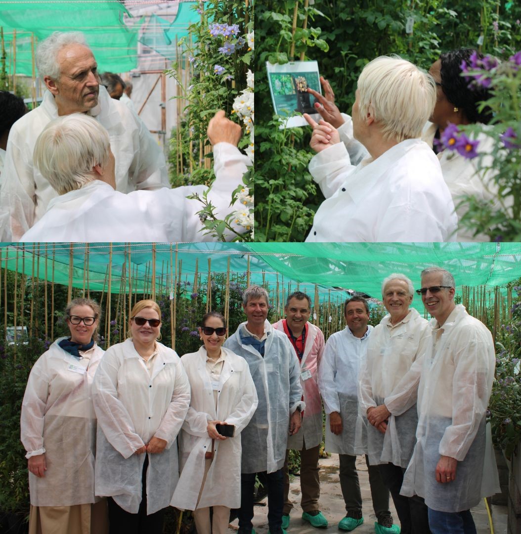 ISDC members in the greenhouse