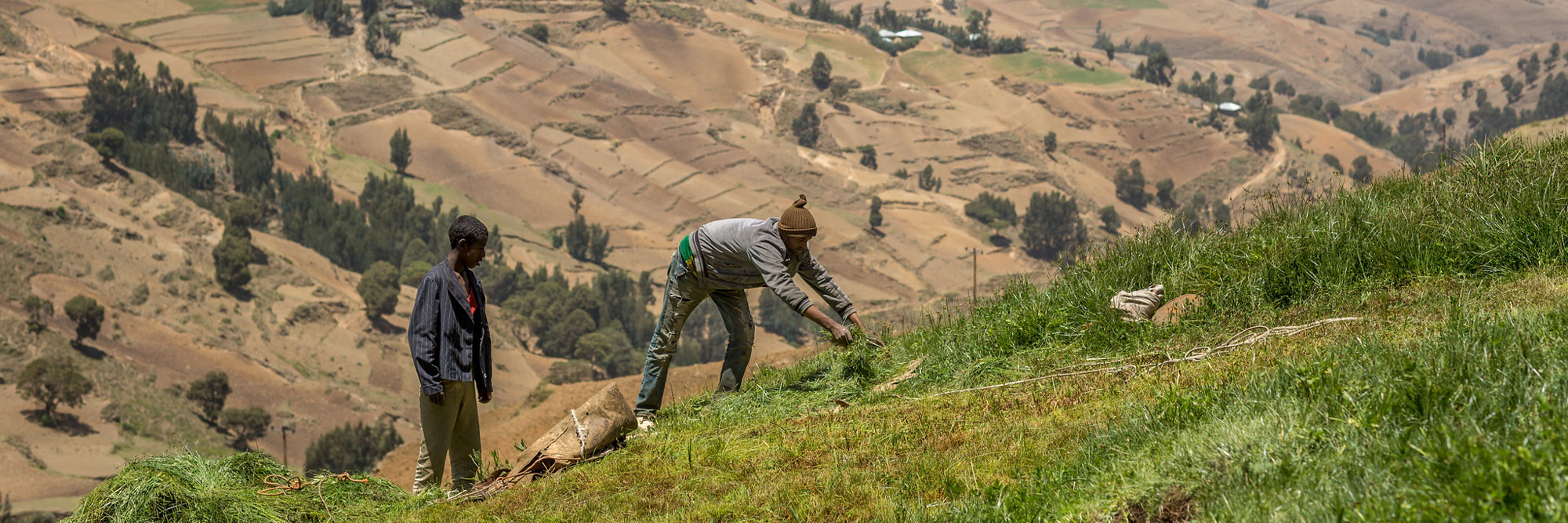 ethiopia