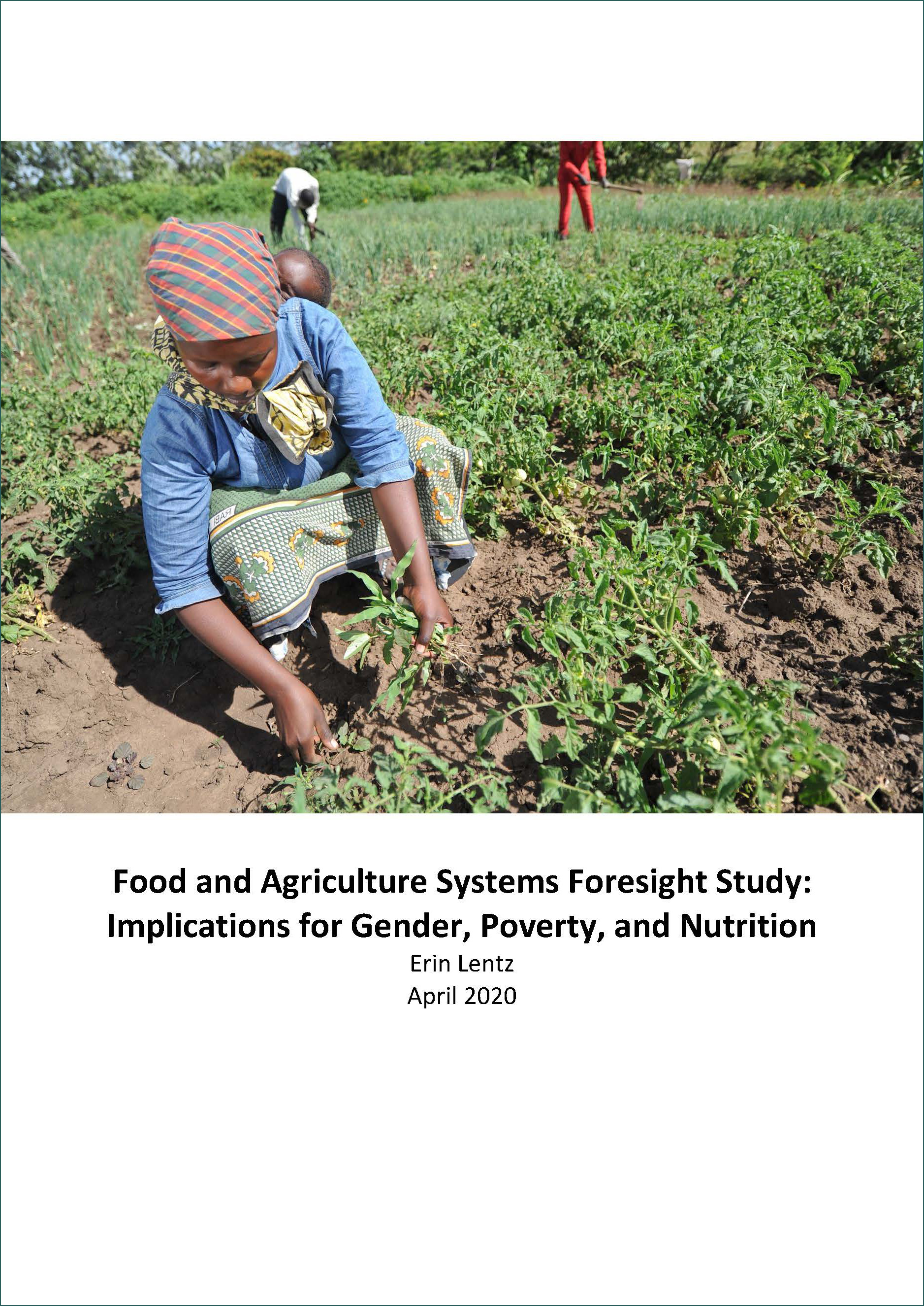 Food and Agriculture Systems Foresight Study: Implications for Gender ...