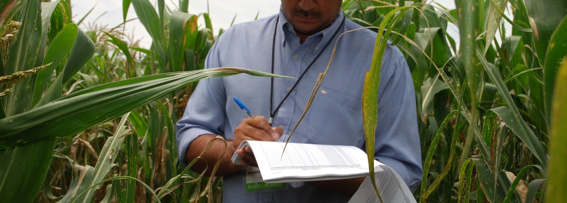 cgiar research