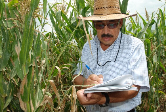 Photo credit: X. Fonseca / CIMMYT.