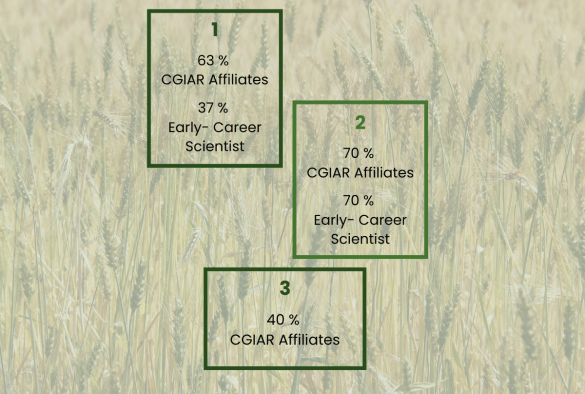Career graph