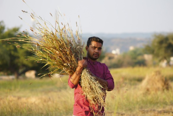 IAES Evaluation Function