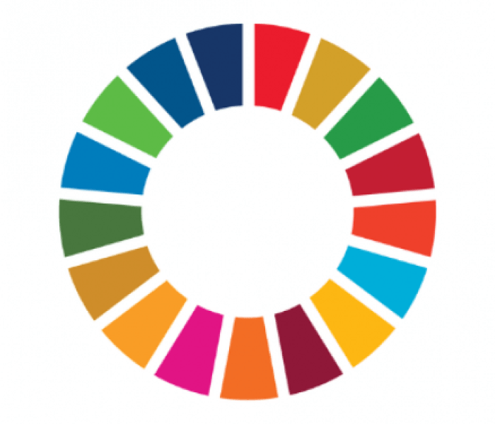 SDG wheel