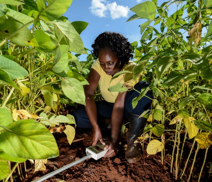 agriculture