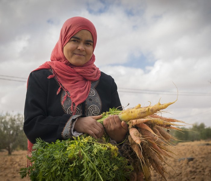 ICARDA