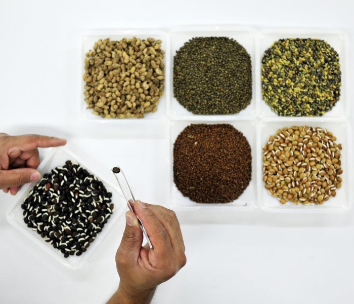Behind the Evaluation of the Genetic Innovation Science Group: A Q&A with Dr. Meyer & Dr. Bryan