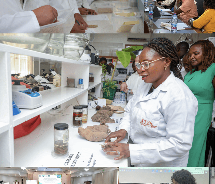 Collage women in lab