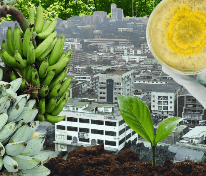 Learning on CGIAR’s on Ways of Working