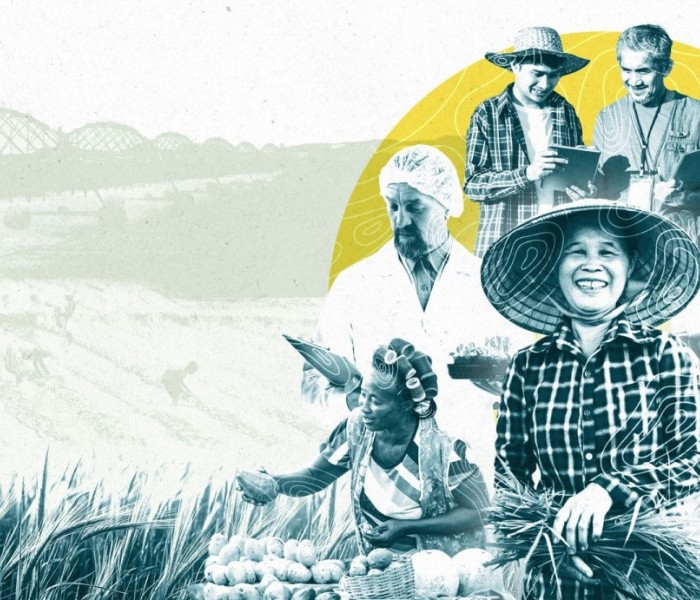 Evaluative Learning Hub