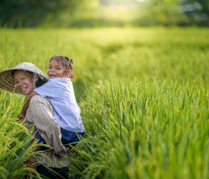 The Returns on Investment (ROI) for Select CGIAR Innovations