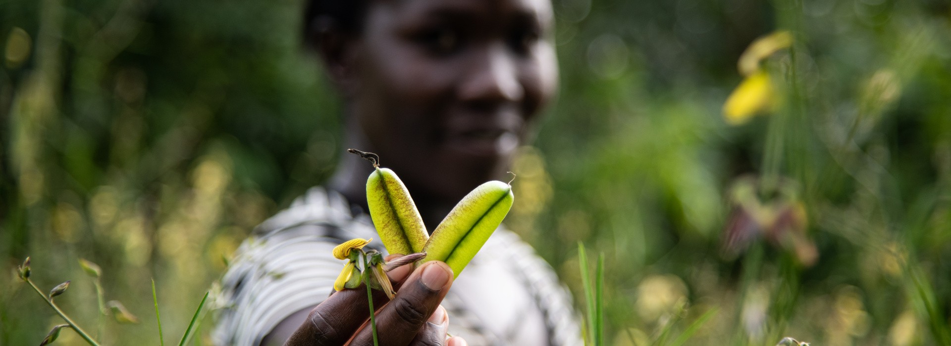 Diverse seeds show by Pauline Odera, a farmer who also runs the seedbank at Vihiga, Kenya. 