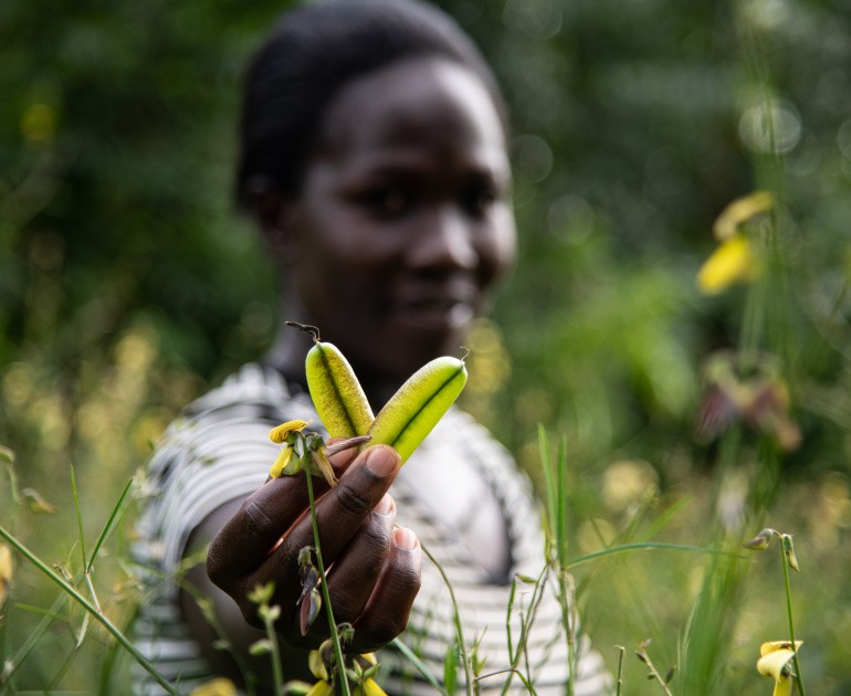 Diverse seeds show by Pauline Odera, a farmer who also runs the seedbank at Vihiga, Kenya. 