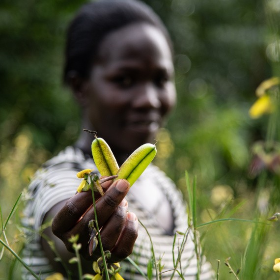 Diverse seeds show by Pauline Odera, a farmer who also runs the seedbank at Vihiga, Kenya. 
