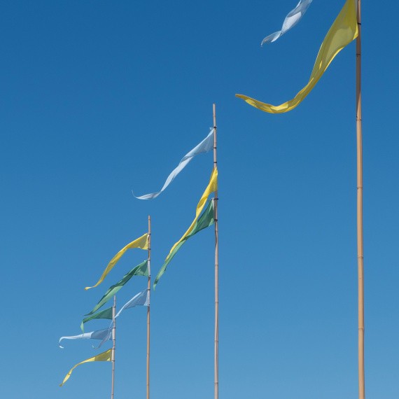 Vibrant flags in motion against a bright blue sky, exuding a sense of freedom and celebration.