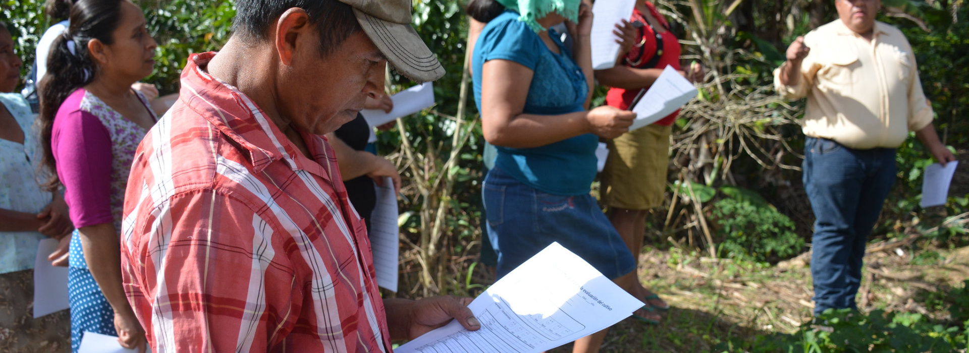 Crop evaluation in La Prensa community of Olopa CSV, Guatemala