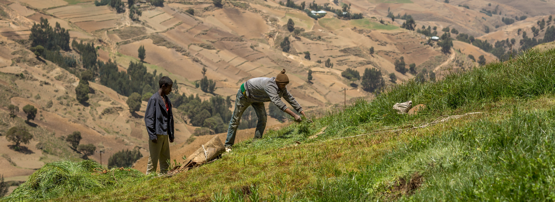 Yewol Highlands Ethiopia. Credit: WLE/M. Ayene