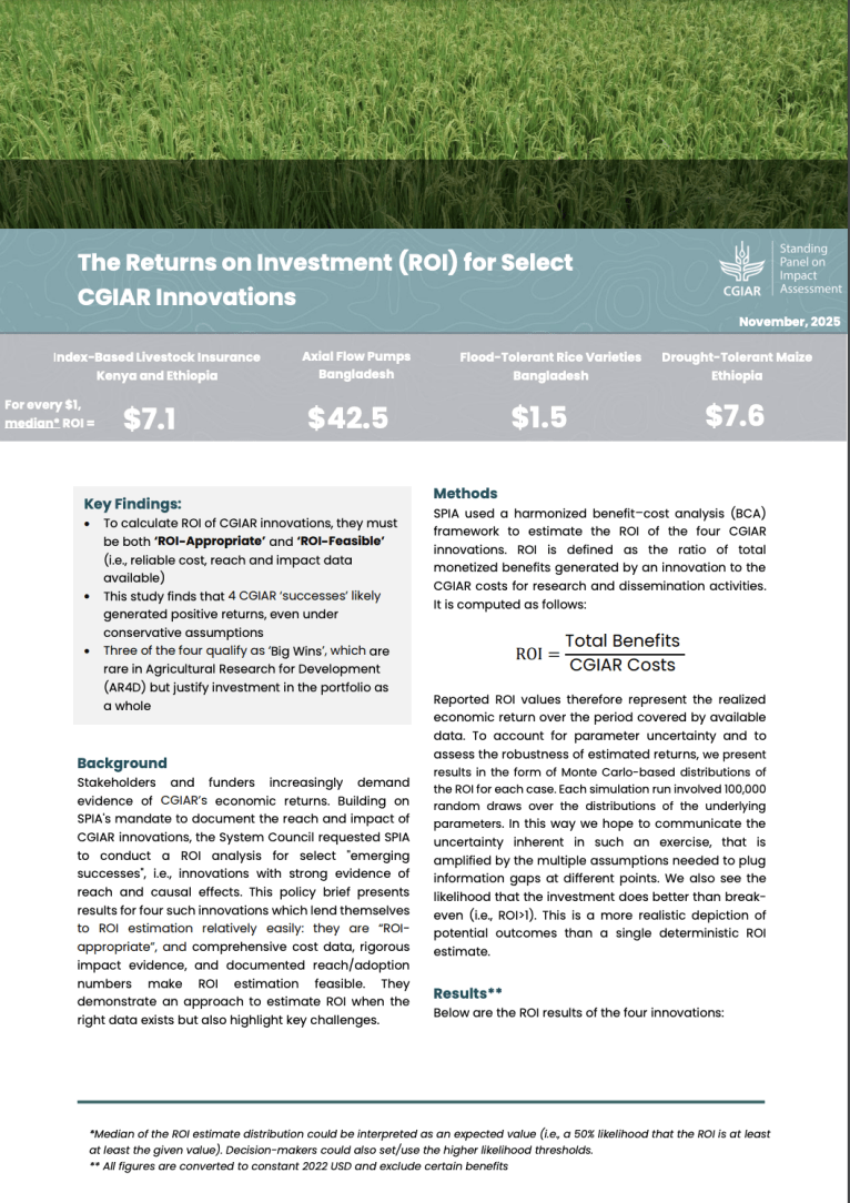 Picture of the cover of the brief