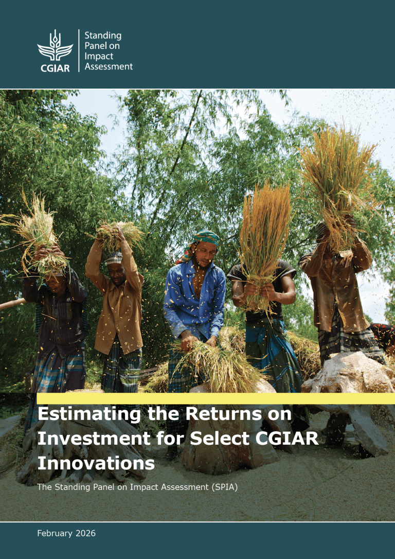 Image displaying a rice harvest in Bangladesh