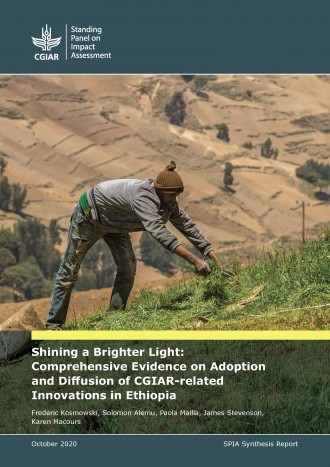 Cover of Ethiopia Strategic Review