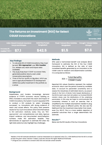 Picture of the cover of the brief